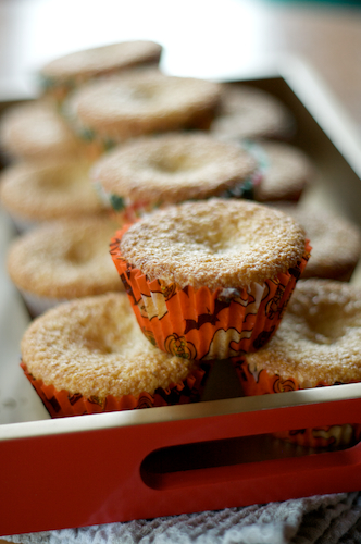 Post image for Gluten-Free Orange Cornmeal Muffins