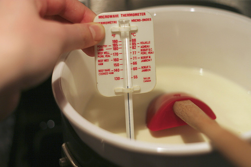 MicrowaveThermometer